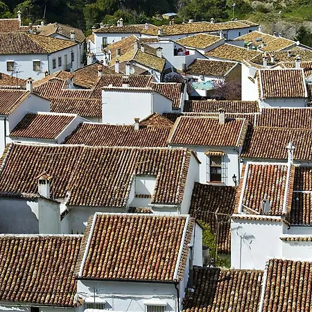 El Artista Grazalema