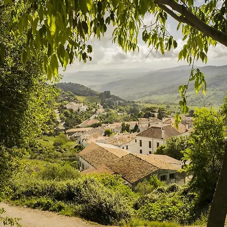 El Artista Grazalema