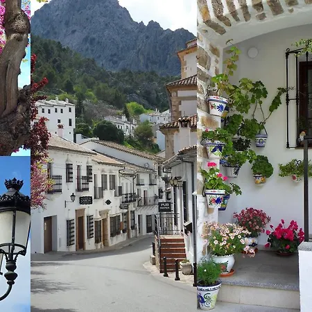 El Artista Apartamento Grazalema